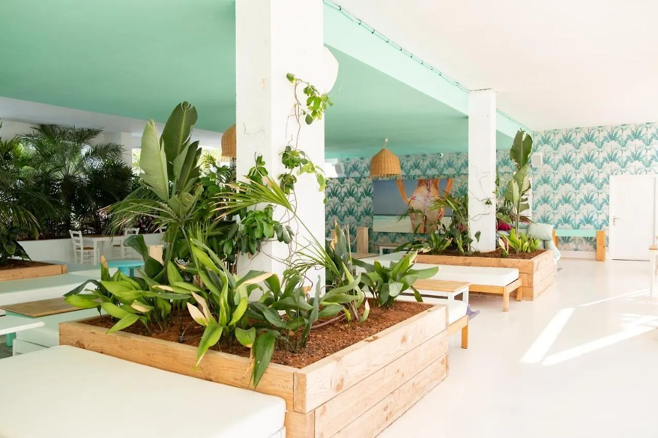 Beach Star Ibiza (Adults Only) San Antonio  Aparthotel